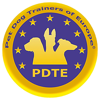 mc-pdte-logo.png